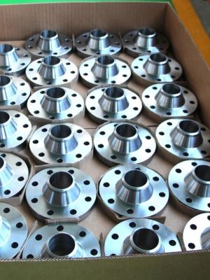Stainless Steel Flanges